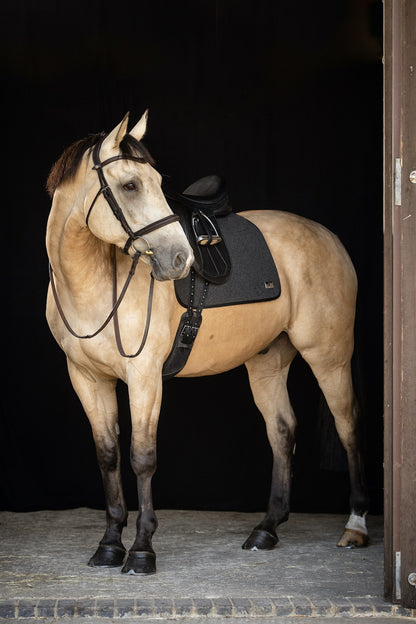 Classic Dressage Loden